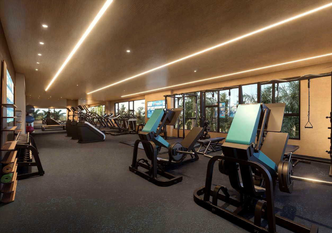 Gimnasio del proyecto.